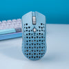 BT.L - Gretxa Vancer Wireless Gaming Mouse – PMW3370